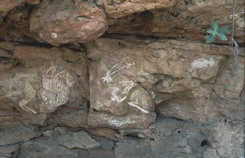 Open original Digital object