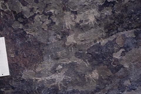 Open original Digitaal object