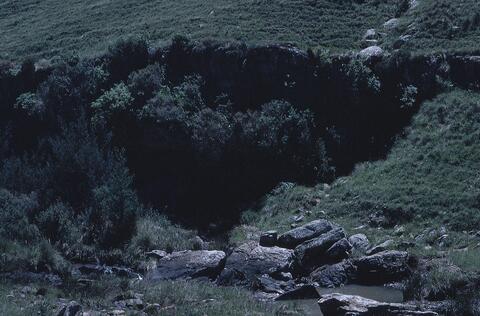 Open original Digital object