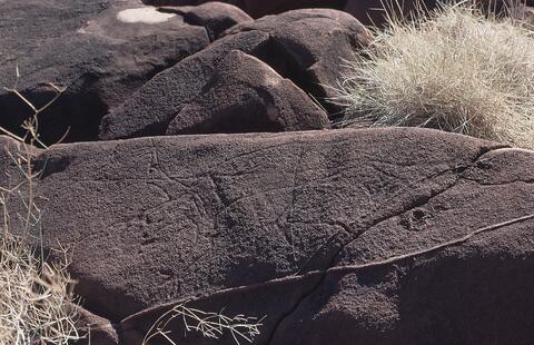 Open original Digital object