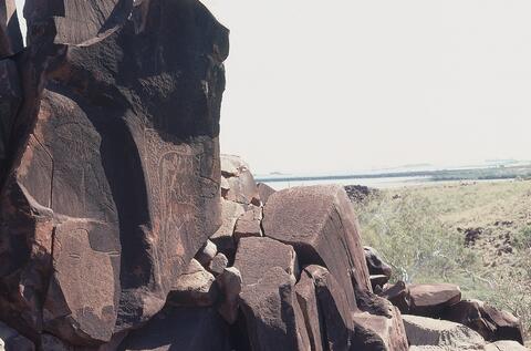 Open original Digital object