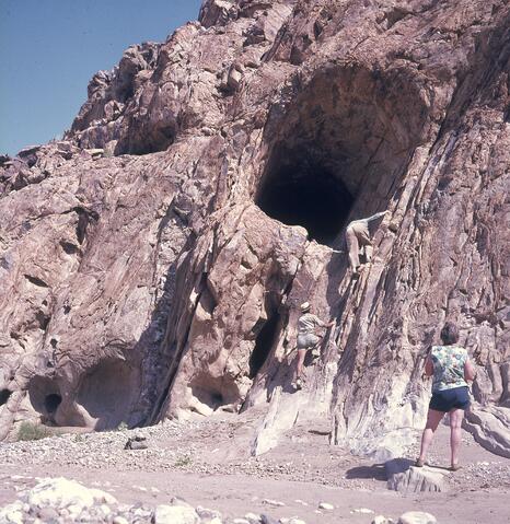 Open original Digital object