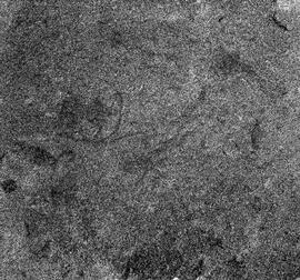 UOC SRZ 02 1759H