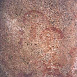 UOC SRZ 02 437H