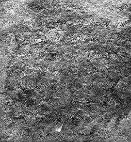 UOC SRZ 02 1775H