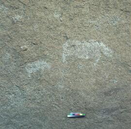 UOC SRZ 02 448H