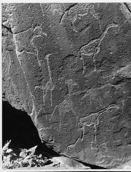 UOC SRZ 01 172P