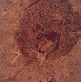 UOC SRZ 02 323H