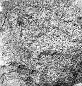 UOC SRZ 02 1557H