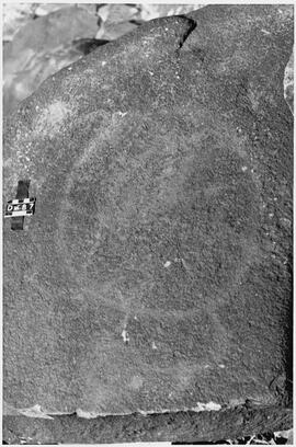 UOC SRZ 01 948P