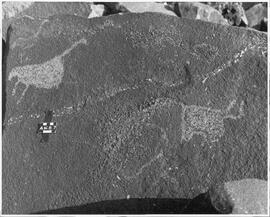UOC SRZ 01 945P