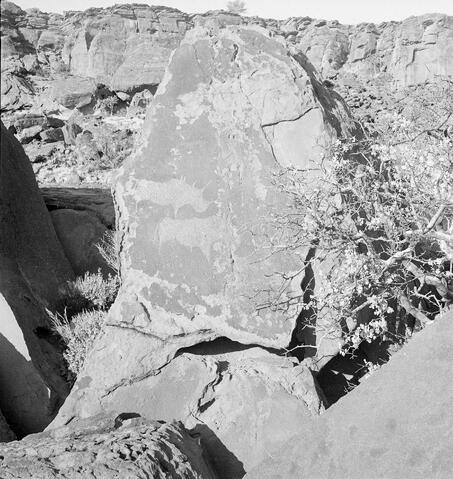 Open original Digitaal object