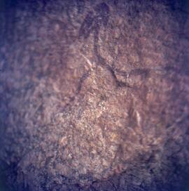 UOC SRZ 02 714H