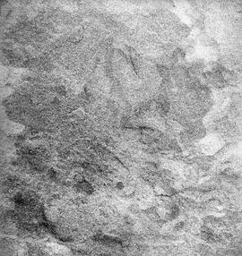 UOC SRZ 02 1680H