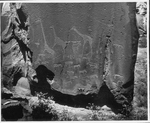 Open original Digital object