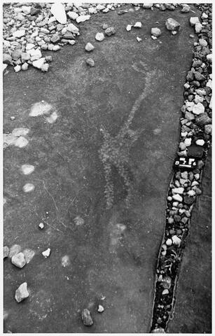 Open original Digitaal object