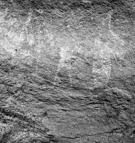 UOC SRZ 02 1595H