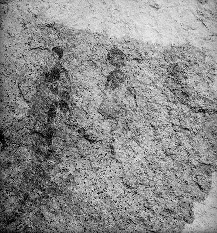 Open original Digitaal object
