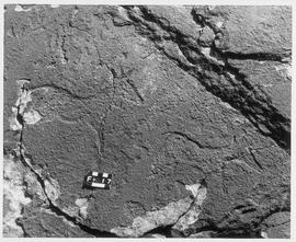 UOC SRZ 01 176P
