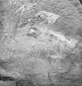 UOC SRZ 02 1539H