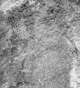 UOC SRZ 02 1568H