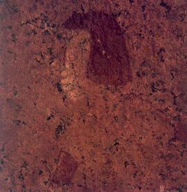 UOC SRZ 02 339H