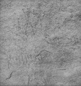 UOC SRZ 02 1713H