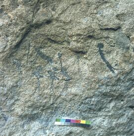 UOC SRZ 02 192H