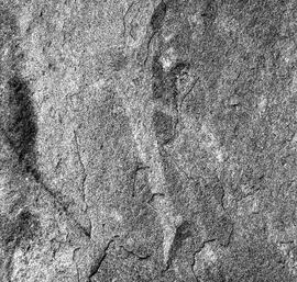 UOC SRZ 02 1769H