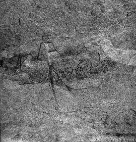 UOC SRZ 02 1745H