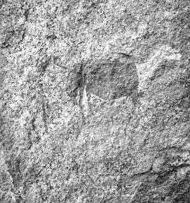 UOC SRZ 02 1570H