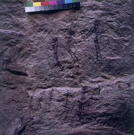 UOC SRZ 02 903H