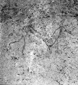 UOC SRZ 02 1547H