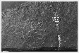 UOC SRZ 01 951P