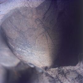 UOC SRZ 02 849H