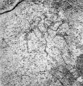UOC SRZ 02 1579H