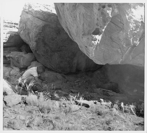 Open original Digital object