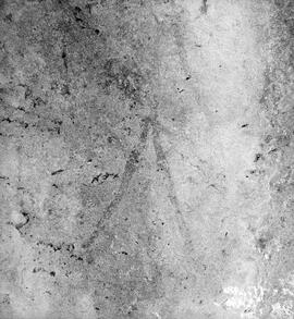 UOC SRZ 02 1569H