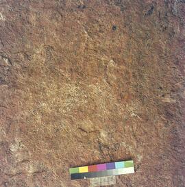 UOC SRZ 02 681H