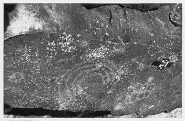 UOC SRZ 01 938P