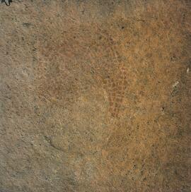 UOC SRZ 02 825H