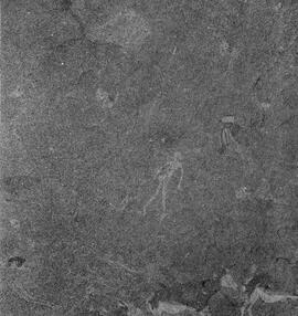 UOC SRZ 02 1530H