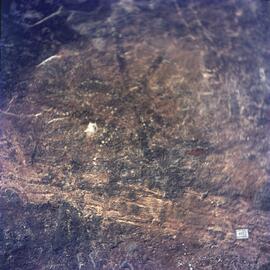 UOC SRZ 02 738H