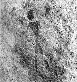 UOC SRZ 02 1572H