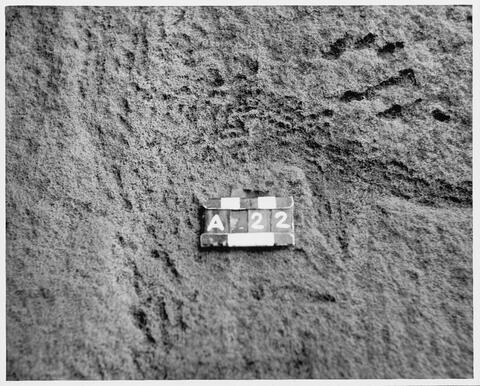 Open original Digitaal object