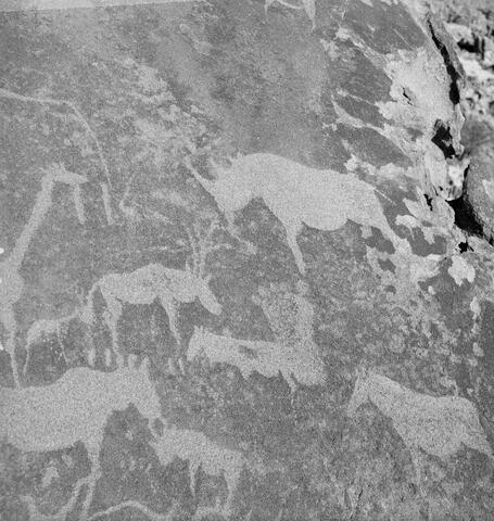 Open original Digitaal object