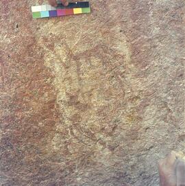 UOC SRZ 02 683H