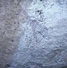 UOC SRZ 02 270H