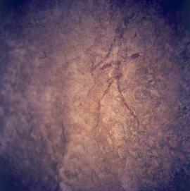 UOC SRZ 02 713H