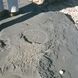 UOC SRZ 02 8H
